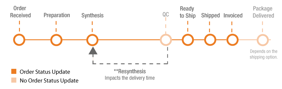 Order -History -Status -Messages -Process -Timeline -Graphic -Infographic -v3 (2)