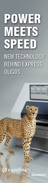 160-x -600-Express -Machine -Skyscrapper -External -Ad -Template -sidebar