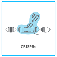 CRISPRs