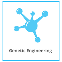 Genetic engineering